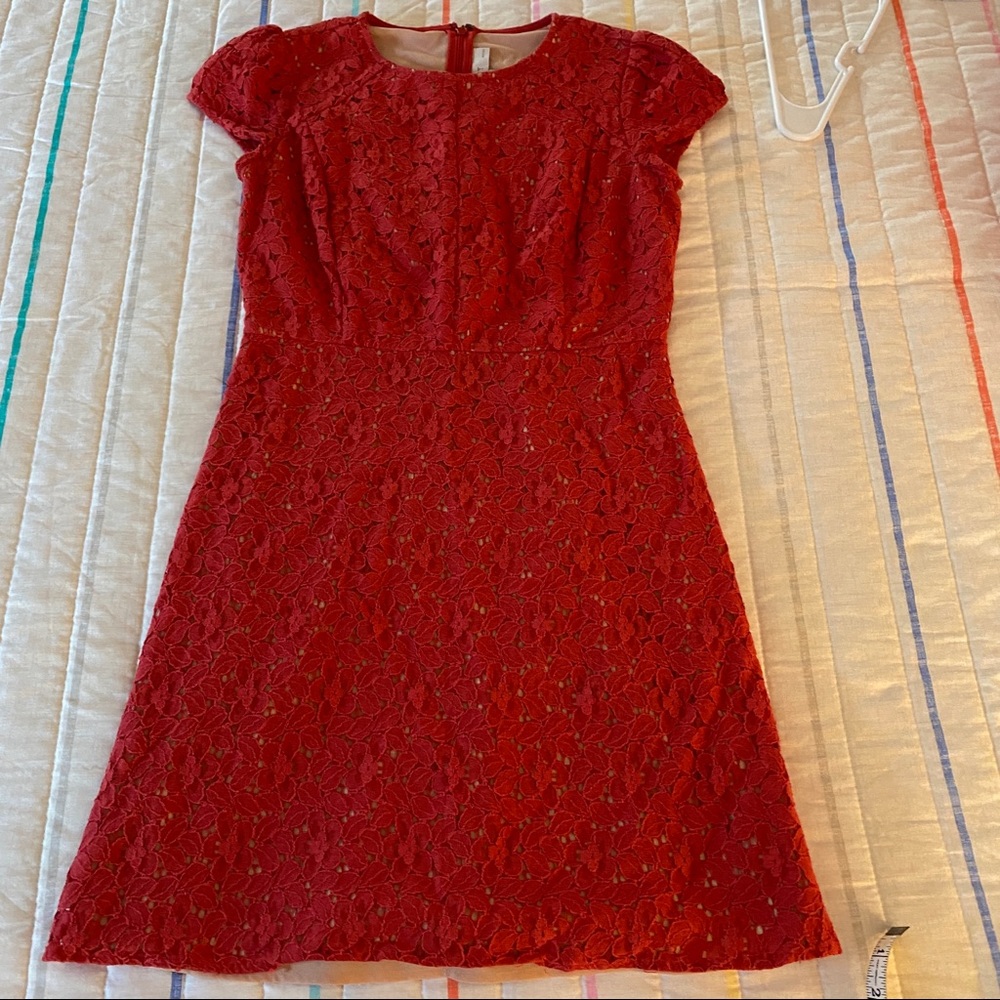 Lovely fully lined lace dress